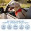 Pet Vet Products® Dog Calming Chews – Beef Liver Soft Chews for Stress, Relaxation & Anxious Behavior Support, 60 Count