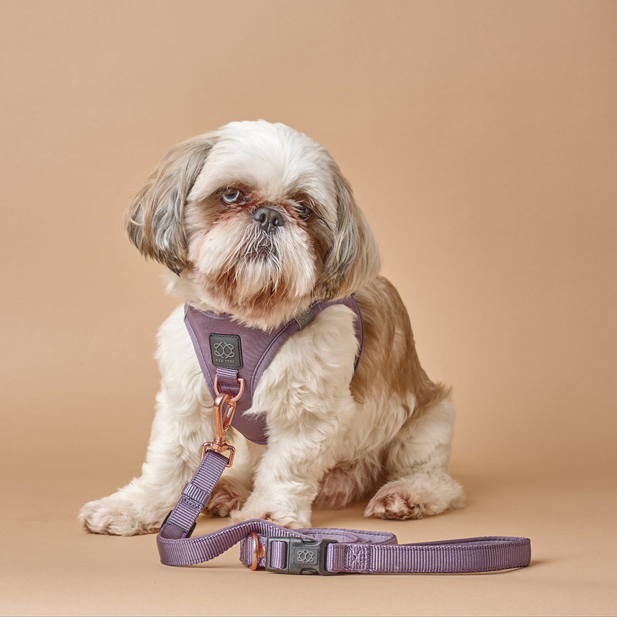 3-in-1 City Dog Leash - Lilac Gray