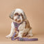 SoHo Dog Harness - Lilac Gray