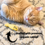 HuggleKats® Wee Chippie and His Acorn Cat Toy Set