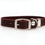 Celtic Double Buckle Style Leather Dog Collar