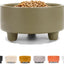 Ceramic Cat & Dog Pet Bowl, Elevated Stoneware Feeder, Dishwasher Safe