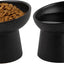 Ceramic Raised Tilted Cat Bowls Set of 2, Elevated Porcelain Feeder