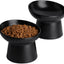 Ceramic Raised Tilted Cat Bowls Set of 2, Elevated Porcelain Feeder
