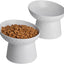 Ceramic Raised Tilted Cat Bowls Set of 2, Elevated Porcelain Feeder