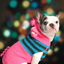 Pink Piggy Hoodie Dog Sweater