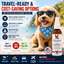 Dog Sunscreen With Aloe Vera Moisturizer