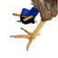 Birdy Bootie (chicken shoes, chicken booties, duck booties and goose shoes)