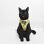 Cat Step-In Harness - Zest Friends