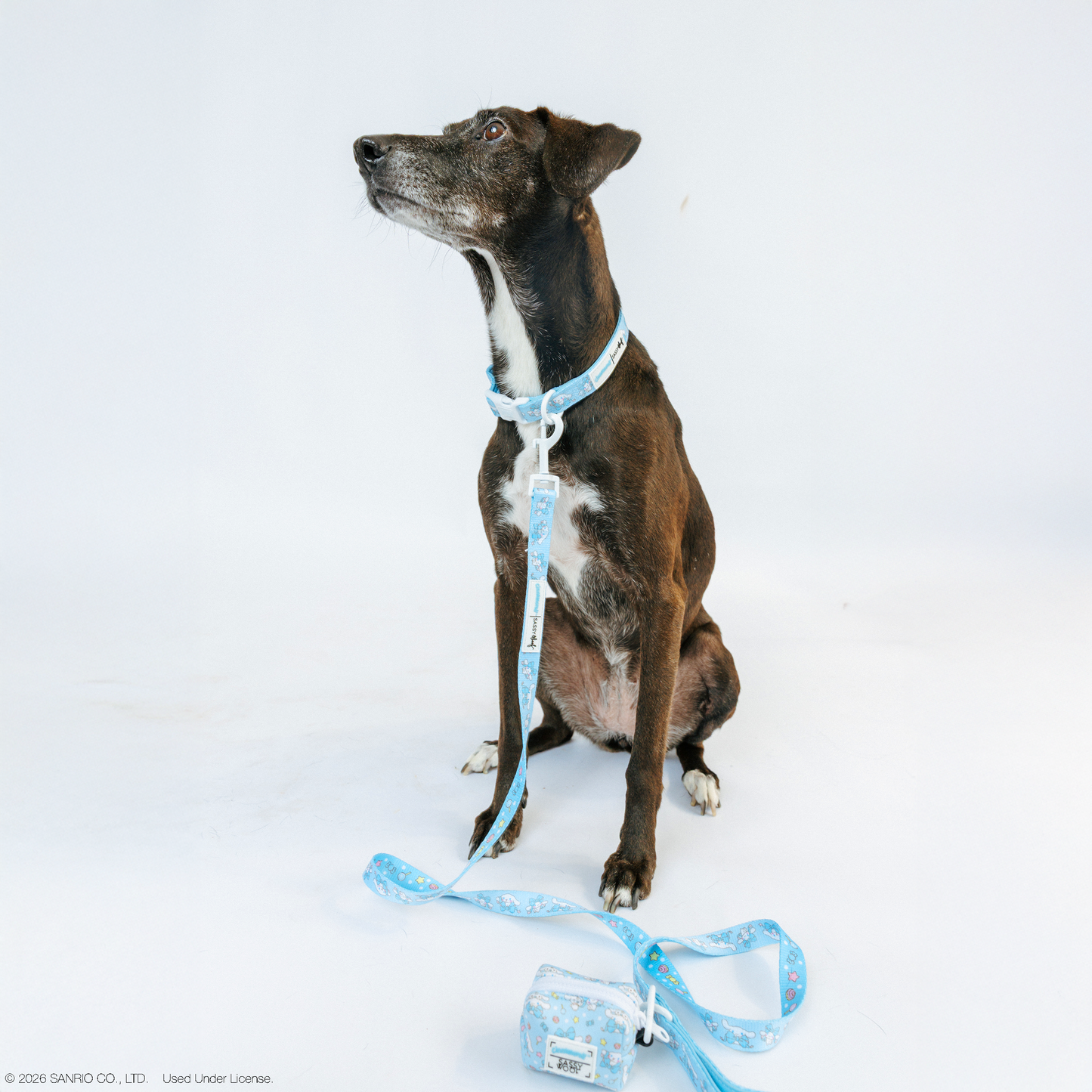 Dog Leash - Cinnamoroll™