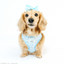 Dog Adjustable Harness - Cinnamoroll™