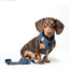 3-in-1 City Dog Leash - Denim