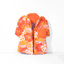 Aloha Nose Work Dog Toy