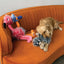 Kong Comfort Jumbo Birds X-Large