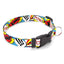Comic Print Dog Collar