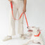 Original Dog Leash with Neoprene Handle