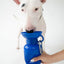 22oz Original Travel Dog Water Bottle
