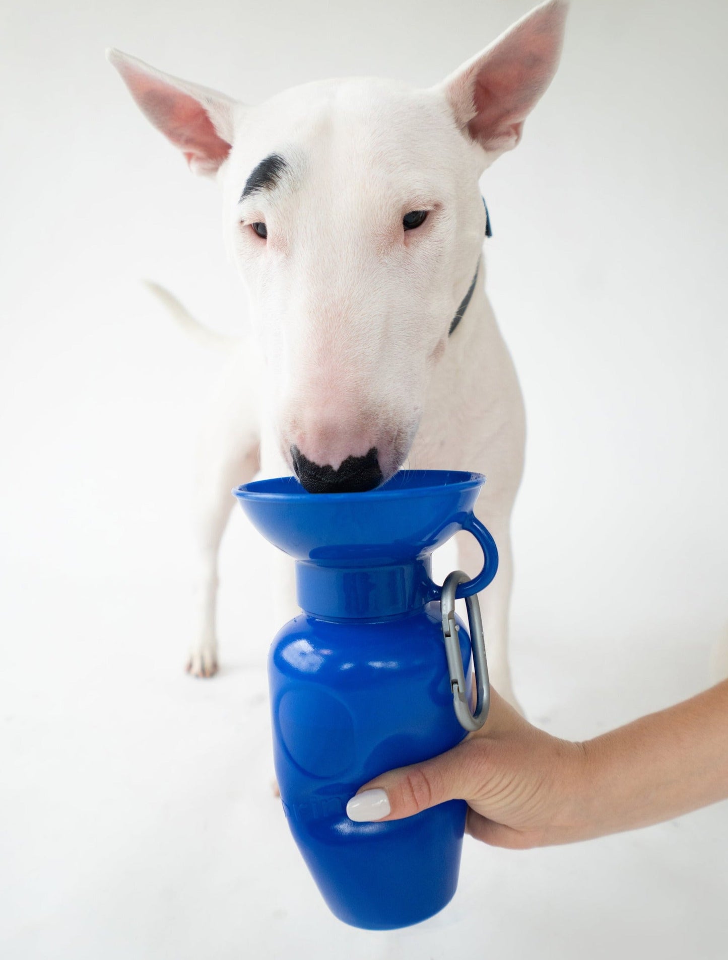 22oz Original Travel Dog Water Bottle