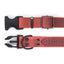 Celtic Sport Quick-Release Leather Dog Collar