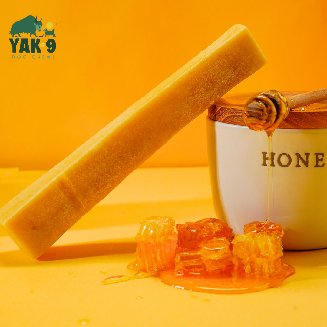 Honey Cheese Chews for Dogs