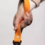 Crimson Glow Waterproof Dog Leash