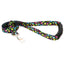 Birthday Cupcakes Dog Leash