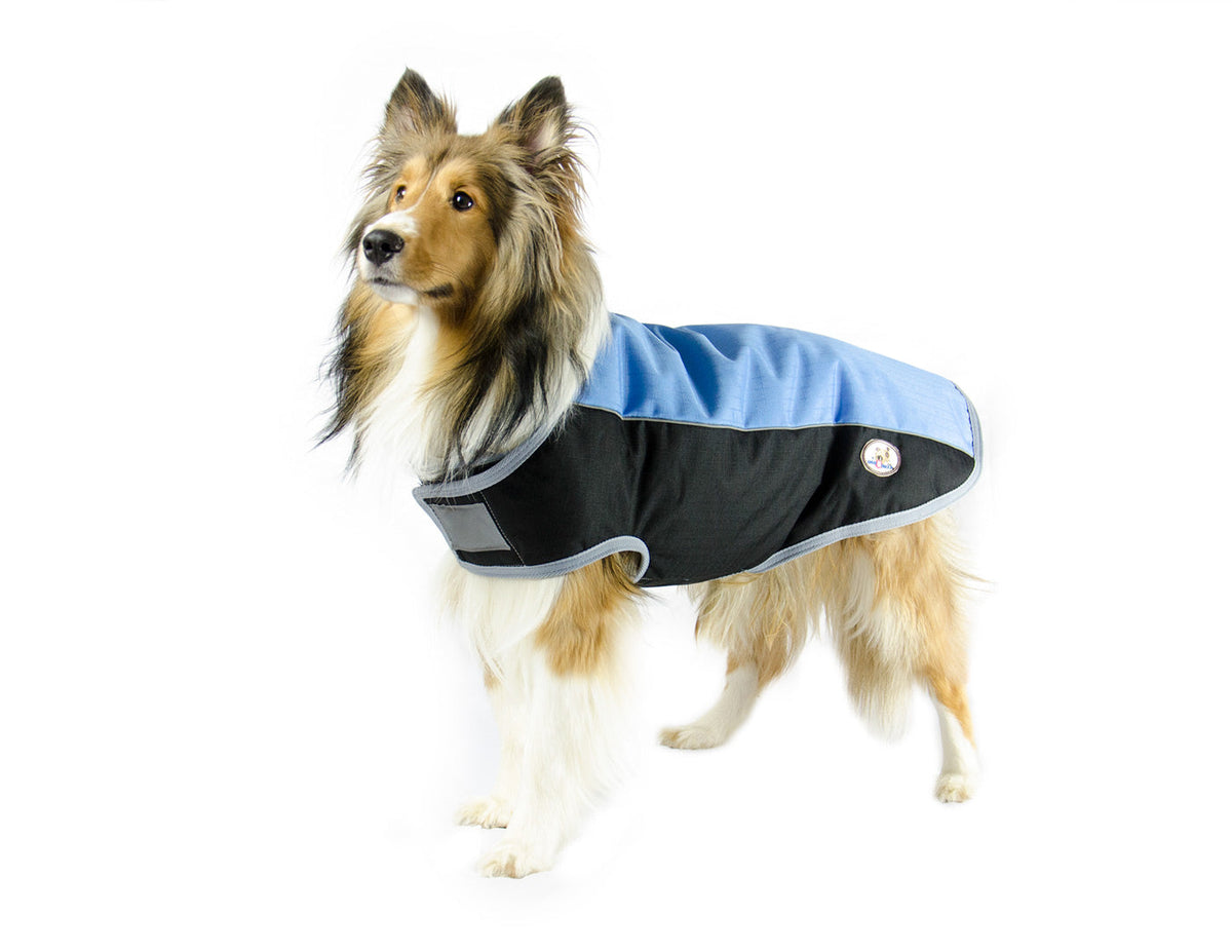 Derby Originals Comfort Fit Classic 600D Winter Dog Coat – 150g Insulated, Waterproof, Breathable Design with 6-Month Warranty