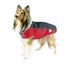 Derby Originals Comfort Fit Classic 600D Winter Dog Coat – 150g Insulated, Waterproof, Breathable Design with 6-Month Warranty