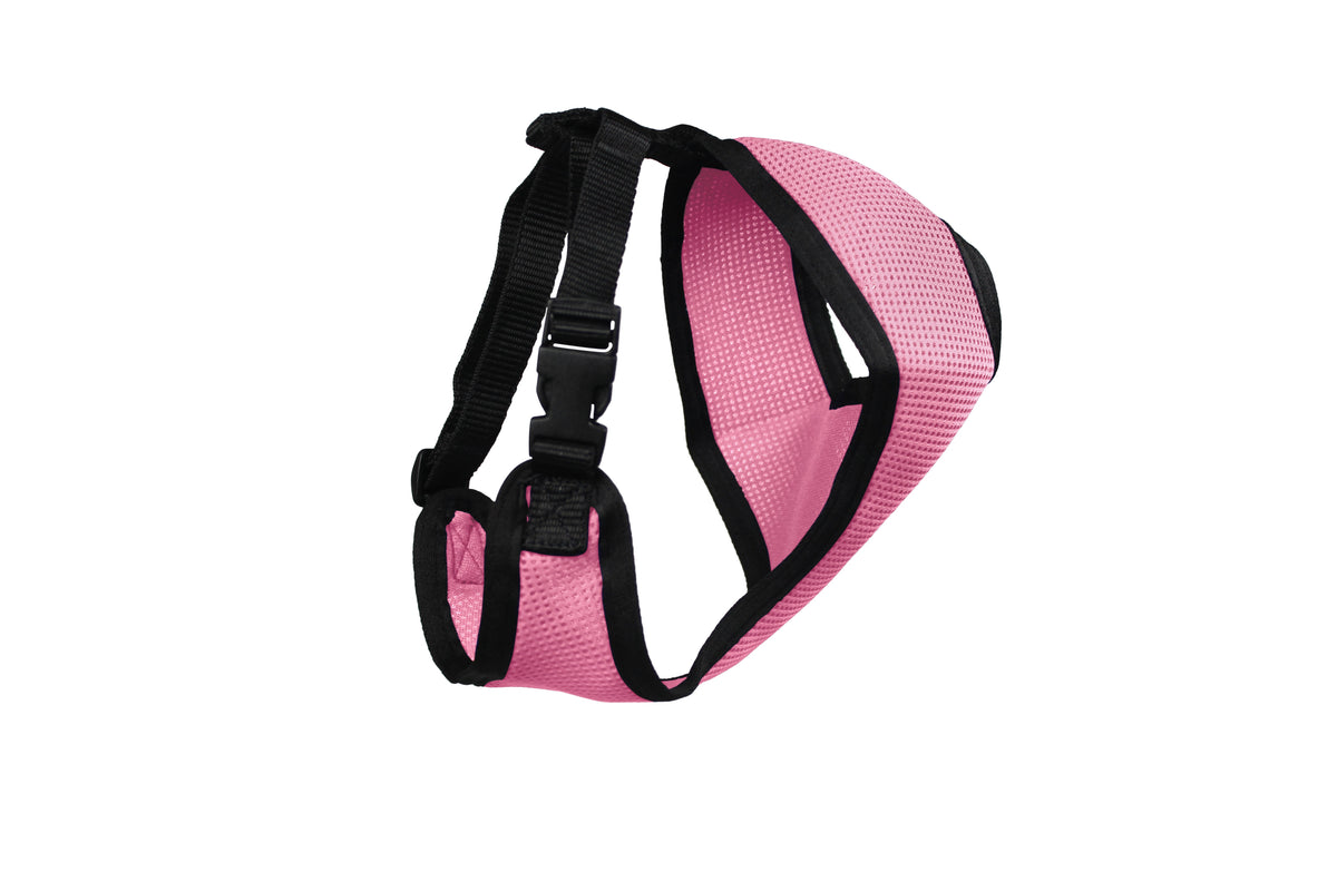 Comfort Mesh Dog Harness by cuteNfuzzyÂ® with Six Month Warranty