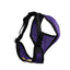Comfort Mesh Dog Harness by cuteNfuzzyÂ® with Six Month Warranty