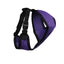 Comfort Mesh Dog Harness by cuteNfuzzyÂ® with Six Month Warranty