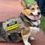 STUD - REFLECTIVE HIGH VISIBILITY BLACK PATCH