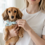 Gingham Cherry Neckerchief