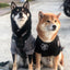 H1 Tactical Dog Hoodie