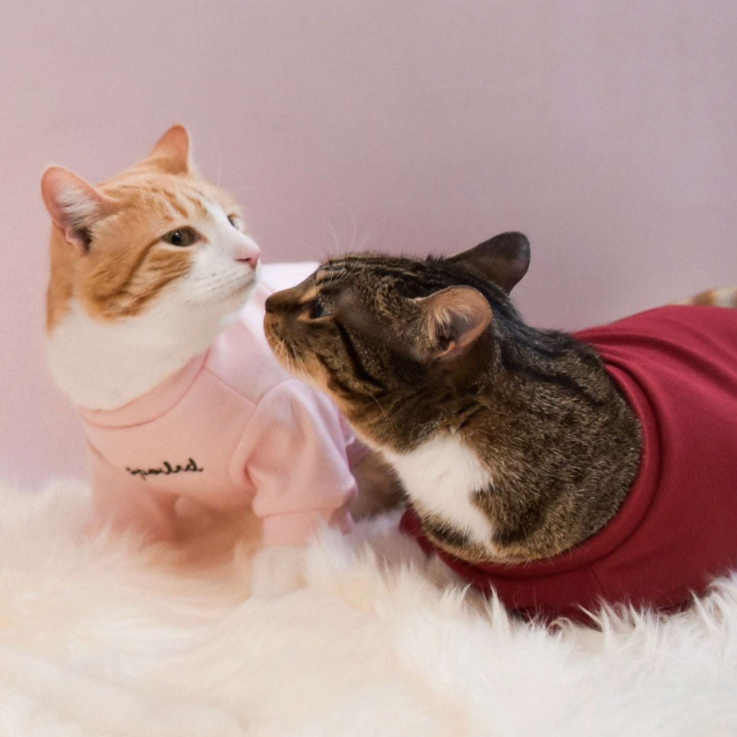 Fur Elise Spoiled Mock Neck Shirt - Lucky
