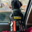 Mini K9 Laser Cut Reflective Morale Patch in Black