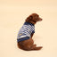 Blue Striped Cotton Tank Top