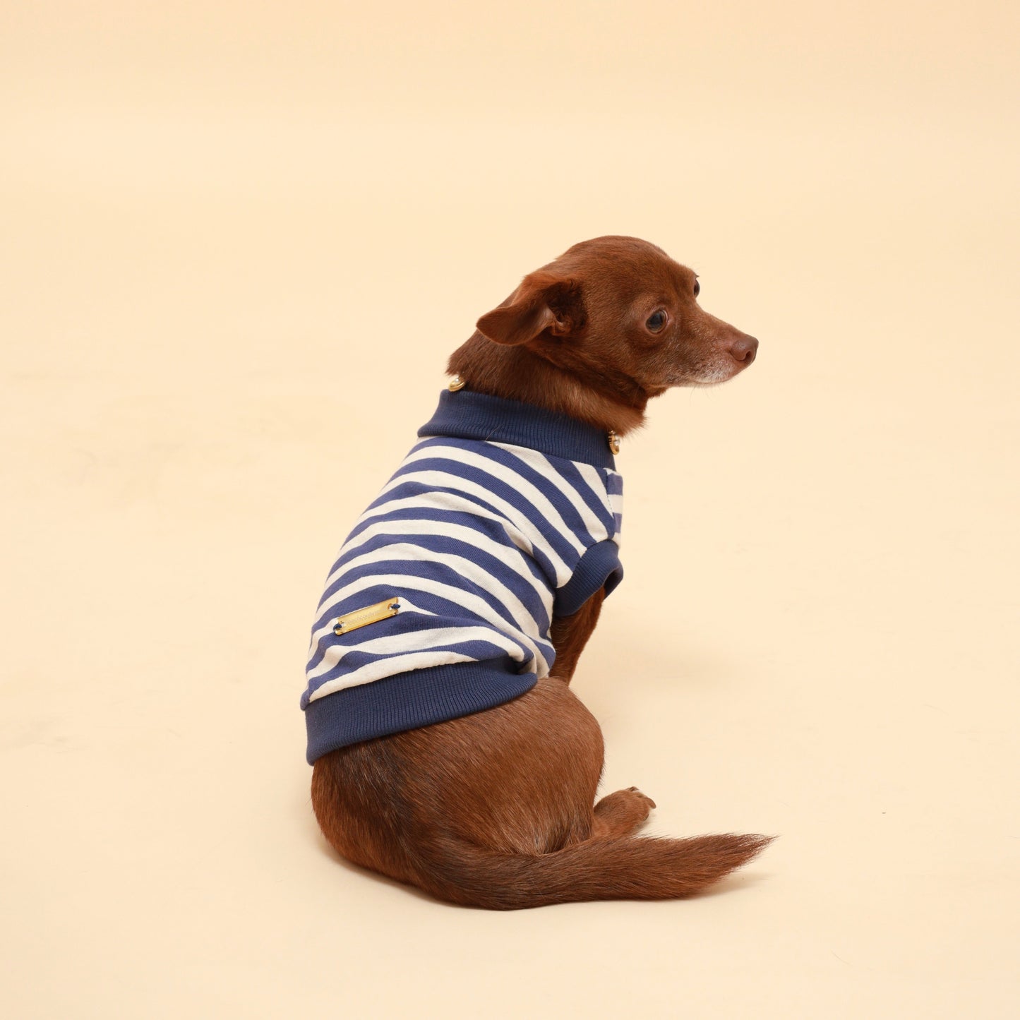 Blue Striped Cotton Tank Top