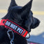 Do Not Pet Reflective Morale Patch
