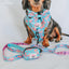 Dog Leash - BARBIE™ On a Roll
