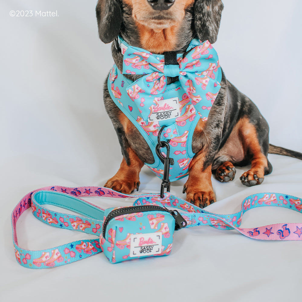 Dog Leash - BARBIE™ On a Roll
