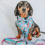 Dog Collar - BARBIE™ On a Roll