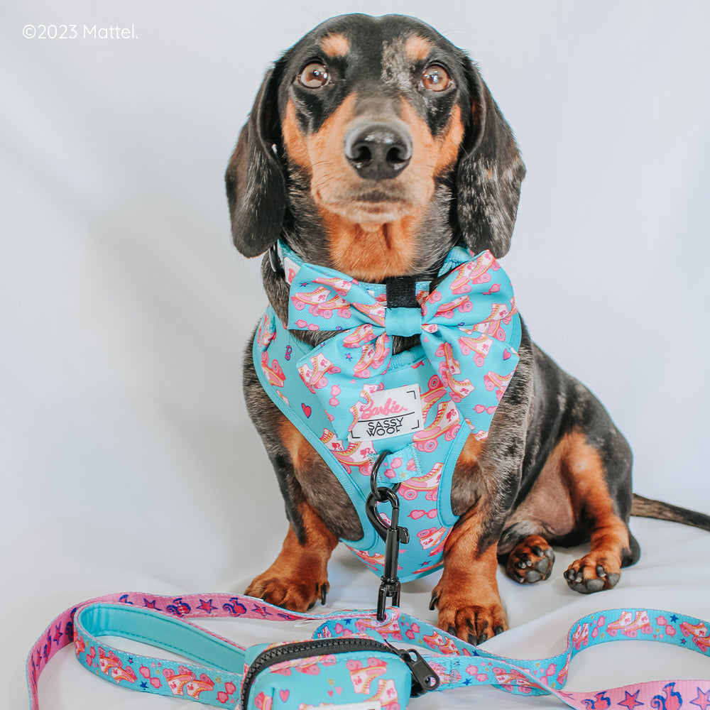 Dog Leash - BARBIE™ On a Roll