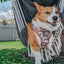 Dog Adjustable Harness - STAR WARS™ The Rebel Alliance