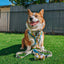 Dog Leash - SpongeBob SquarePants™ Bikini Bottom
