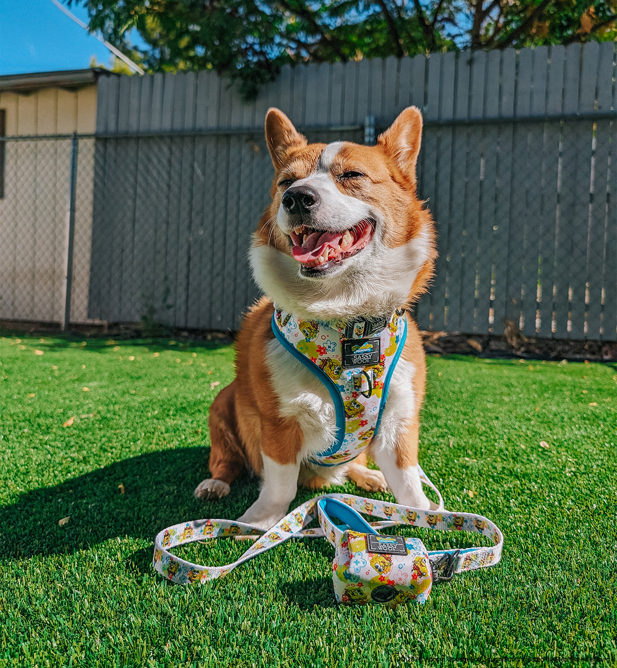 Dog Leash - SpongeBob SquarePants™ Bikini Bottom