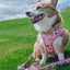 Dog Adjustable Harness - STAR WARS™ Princess Leia