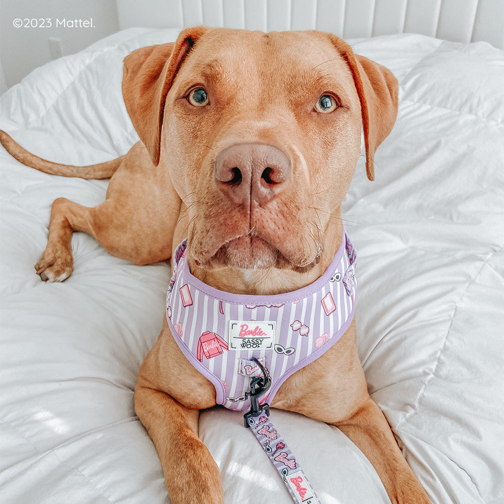 Dog Adjustable Harness - BARBIE™ Closet Goals