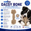 Daisy Bone Nylon Dog Toy for Aggressive Chewers | Durable | USA Made