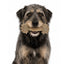 Daisy Bone Nylon Dog Toy for Aggressive Chewers | Durable | USA Made